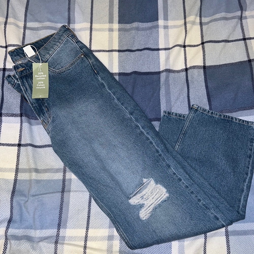 H&M Baggy Lowrise Jeans